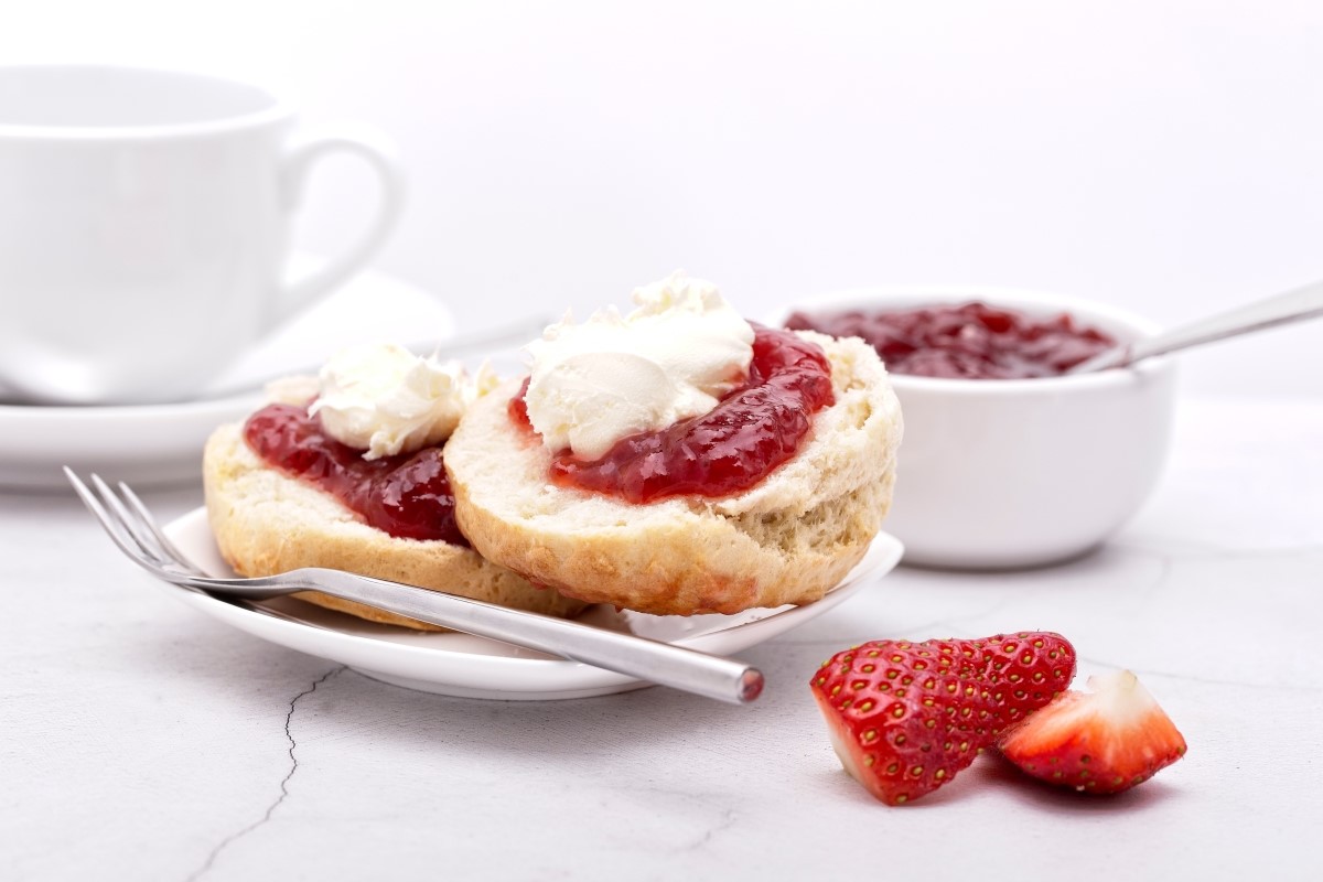 scone scone