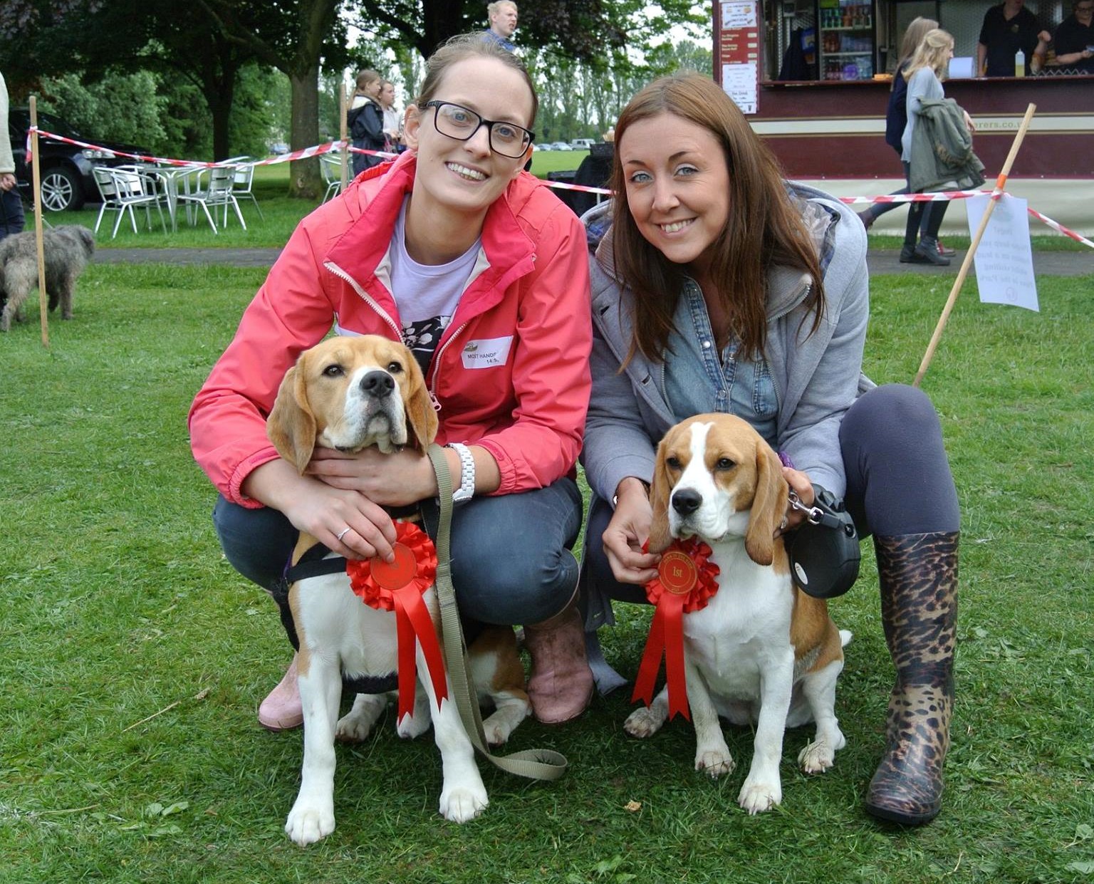 Dog Show at Leyland Festival