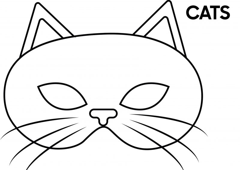 Create Your Own Cats Inspired Musical Mask Leyland Festival