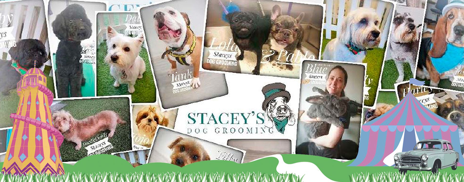 Stacey's-Dog-Grooming Leyland