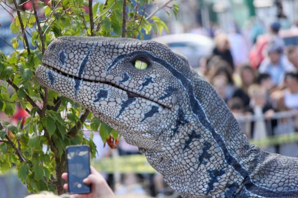 raptor